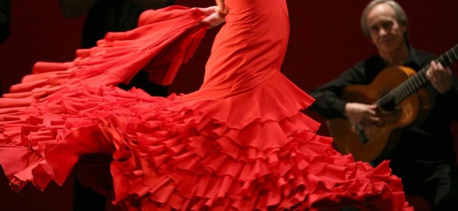 Flamenco por la vida / María Juncal