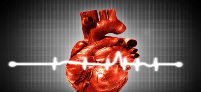 ¿Qué es y cómo ocurre la presión arterial?
