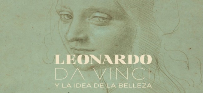 Leonardo da Vinci y la idea de la belleza, muestra en el museo de Bellas Artes
