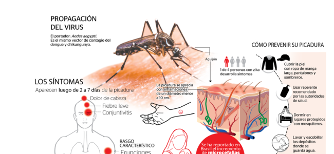 Chiapas y Oaxaca, los dos estados con más casos de Zika
