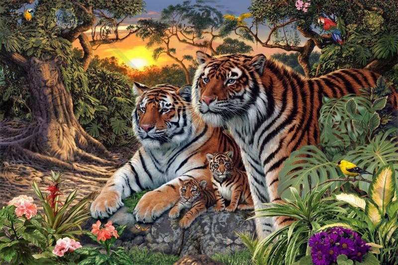 acertijo-tigres-viral