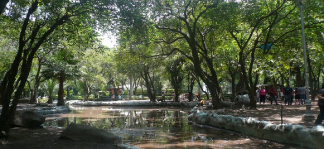 Culmina remodelación del Parque México para acentuar su hospitalidad