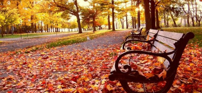 El otoño es el momento ideal para contar tus bendiciones y solucionar tus pendientes