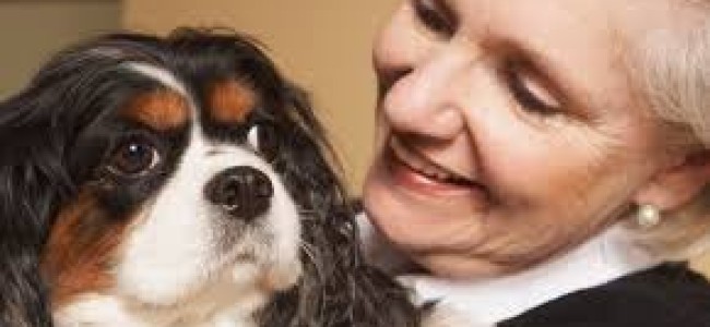 Beneficios psicológicos y sociales que aporta la compañía de perros y gatos