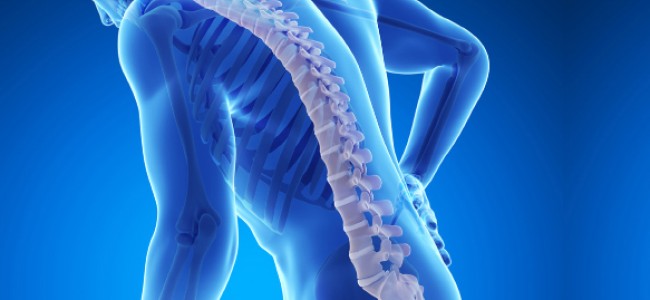 ¿Qué causa la osteoporosis?