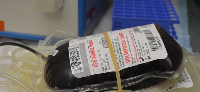 Bancos de sangre en México sin control