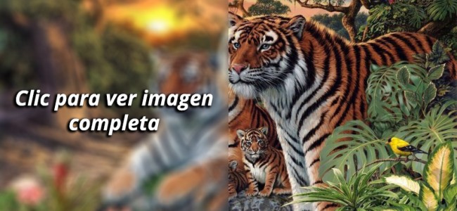 Encuentra las 16 caras de tigre