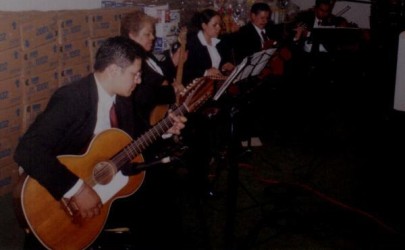 Música Tradicional con el Grupo Salterio Flor de México